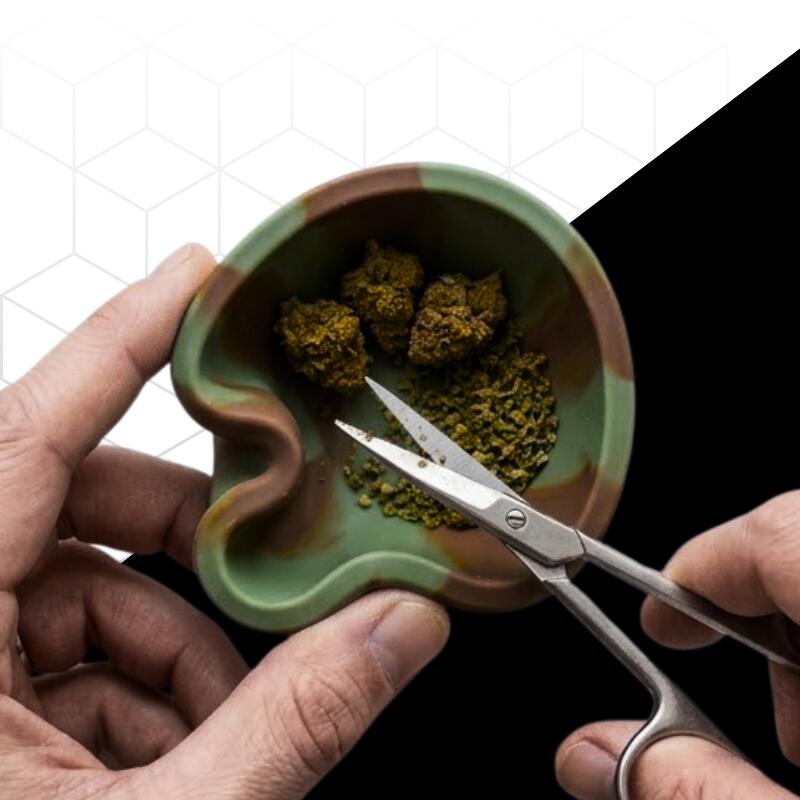 Colombian Gold: tudo sobre a Strain de maior custo-benefício no Brasil