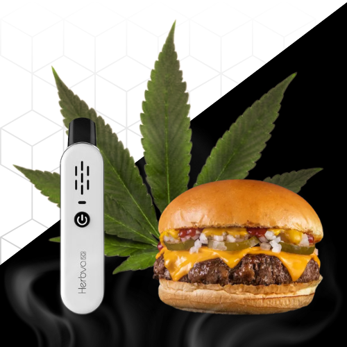Por que ficamos com fome quando usamos maconha?