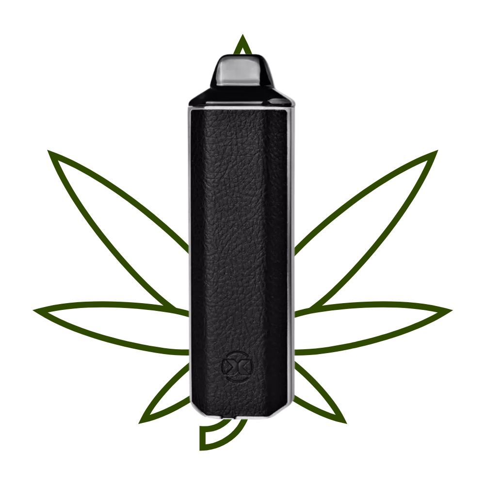 Review do vaporizador de ervas Aria da XVape